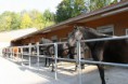 /album/die-anlage/stallungen-paddock-jpg/